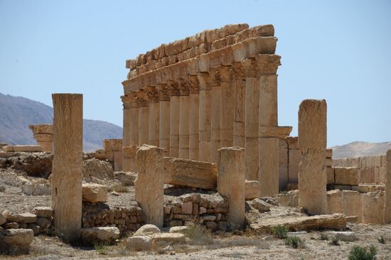 Palmyra's destroyed heritage