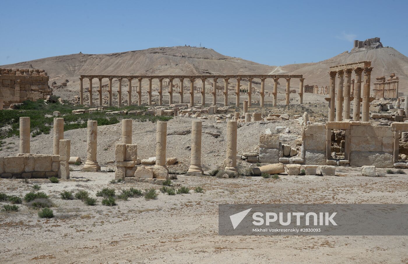 Palmyra's destroyed heritage