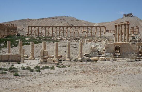 Palmyra's destroyed heritage