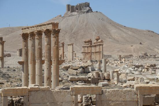 Palmyra's destroyed heritage