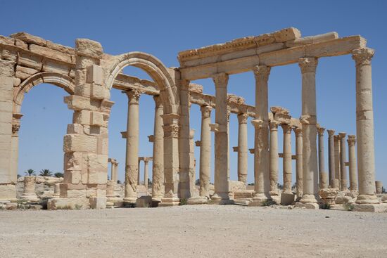 Palmyra's destroyed heritage