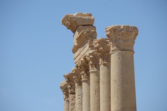 Palmyra's destroyed heritage