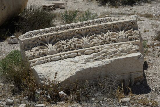 Palmyra's destroyed heritage