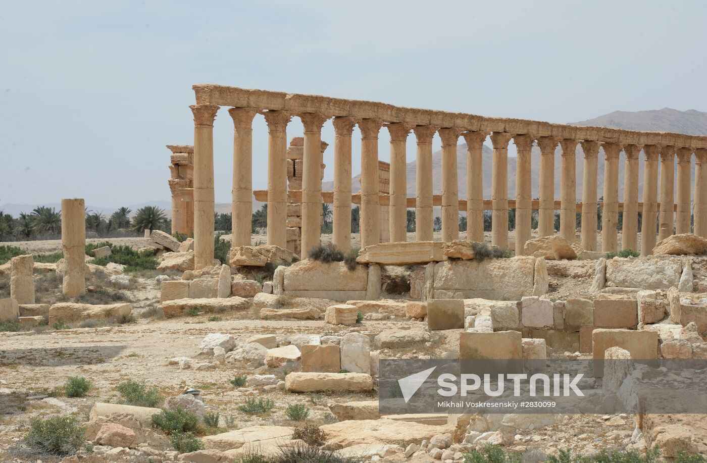 Palmyra's destroyed heritage