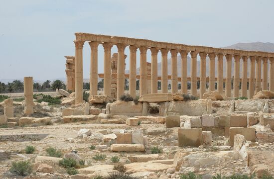 Palmyra's destroyed heritage