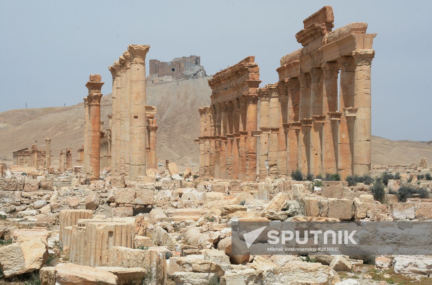 Palmyra's destroyed heritage