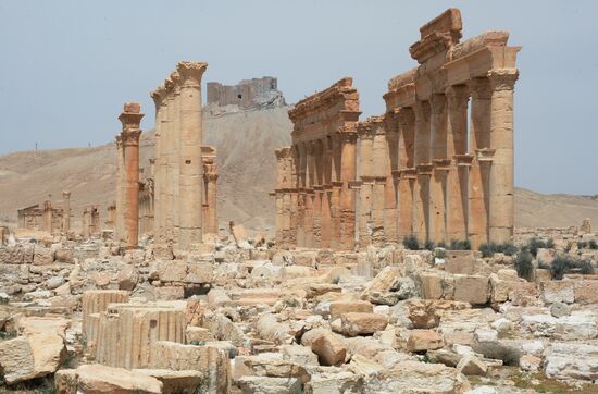 Palmyra's destroyed heritage