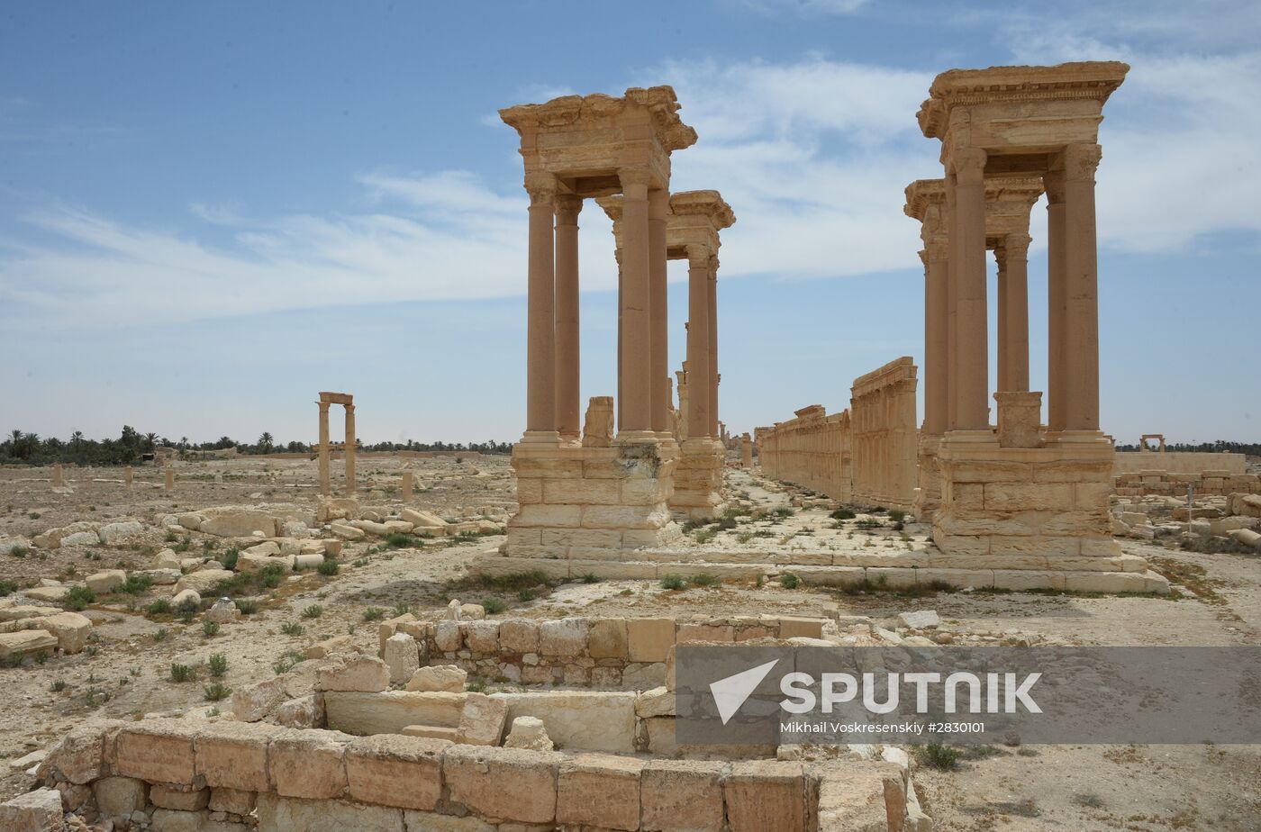 Palmyra's destroyed heritage