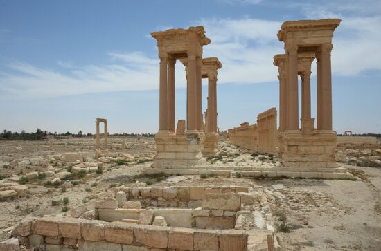 Palmyra's destroyed heritage