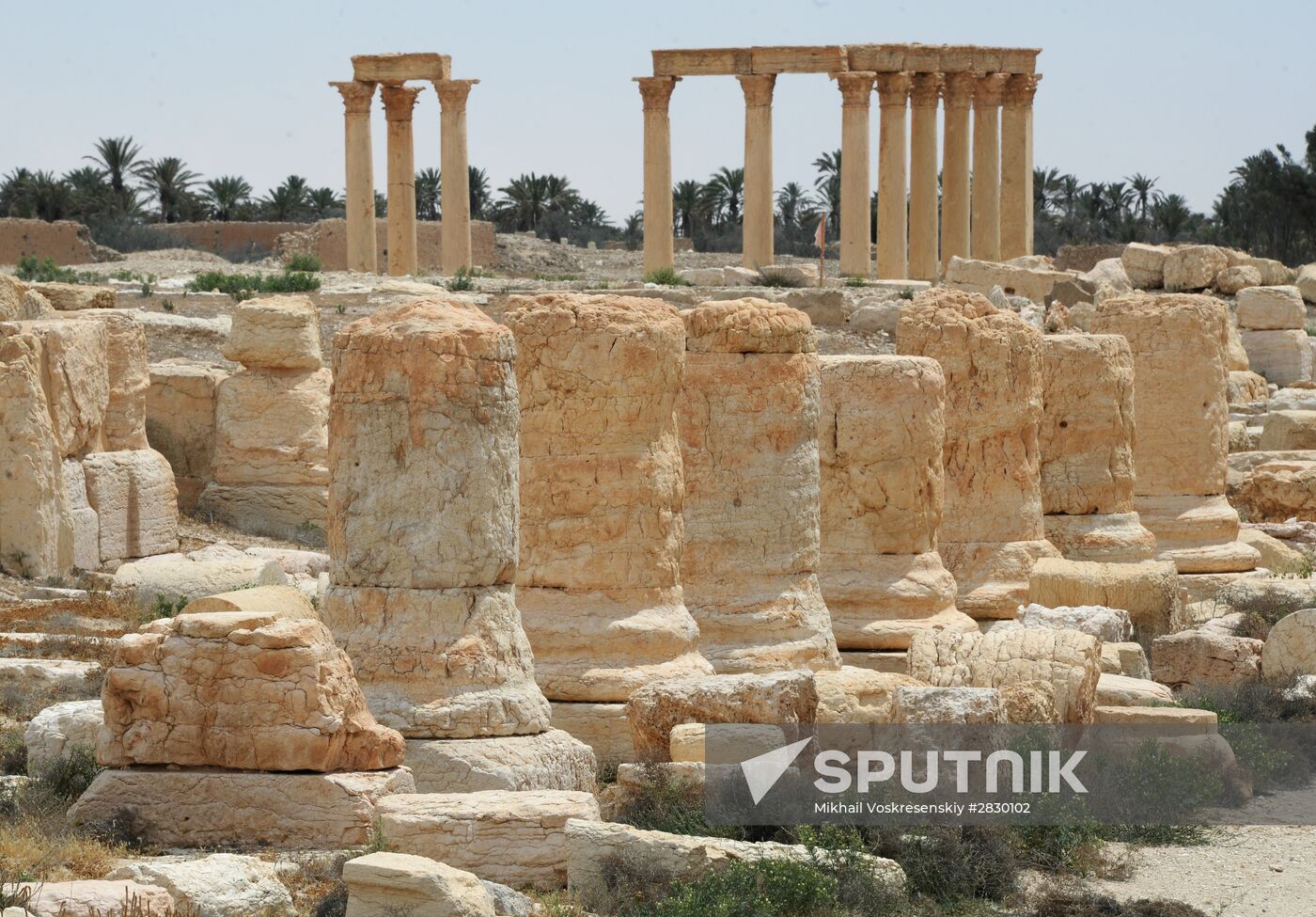 Palmyra's destroyed heritage