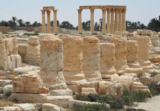Palmyra's destroyed heritage