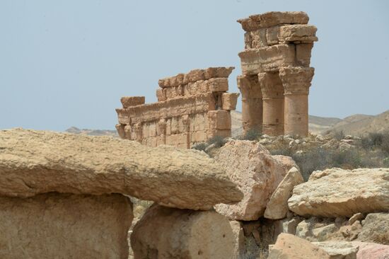 Palmyra's destroyed heritage