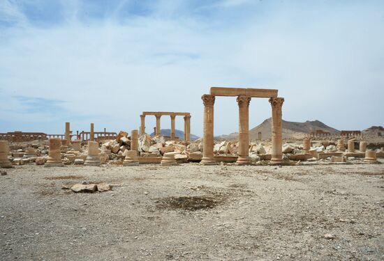 Palmyra's destroyed heritage