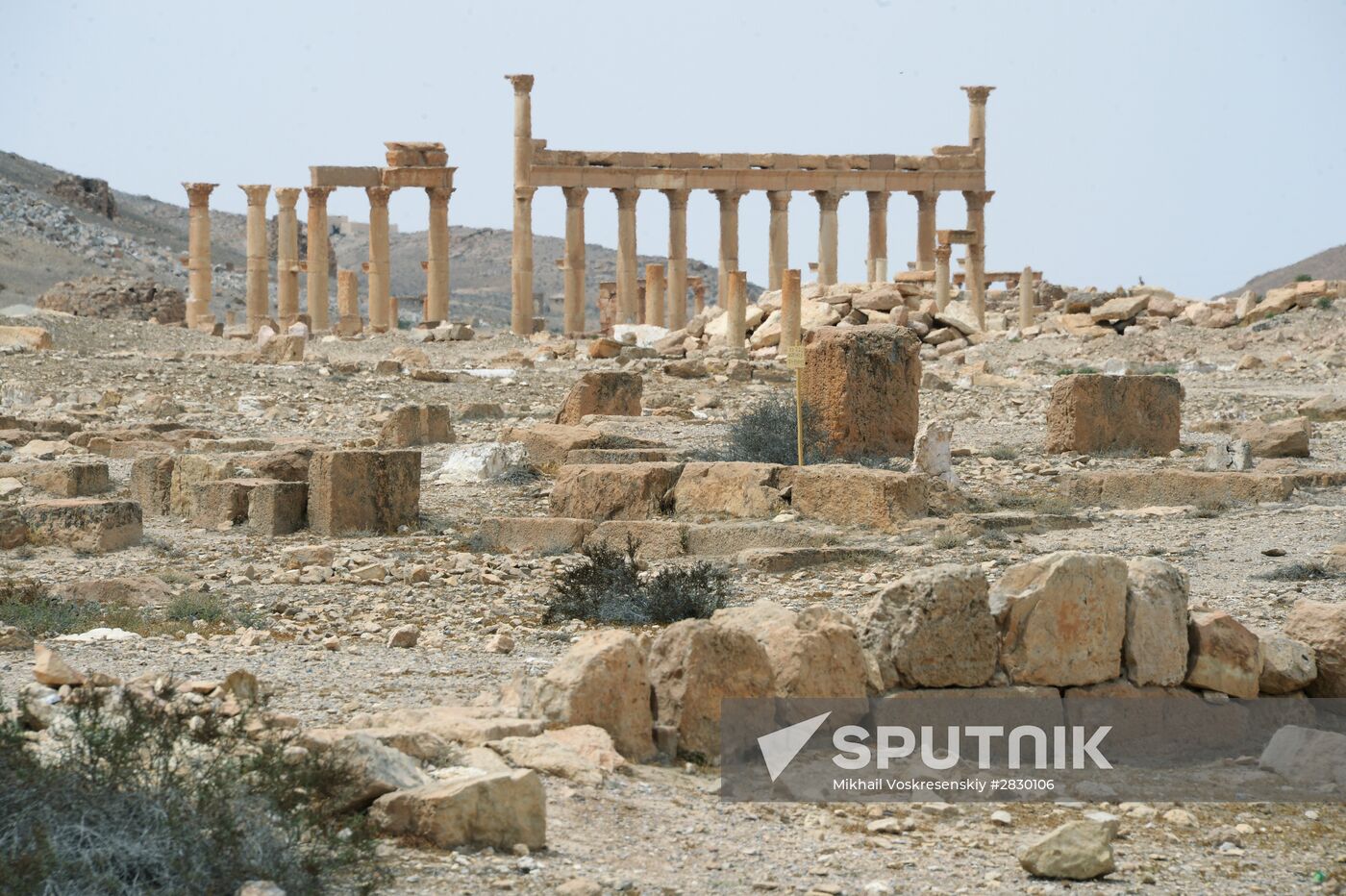 Palmyra's destroyed heritage
