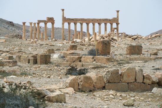 Palmyra's destroyed heritage