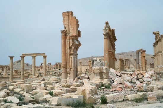 Palmyra's destroyed heritage