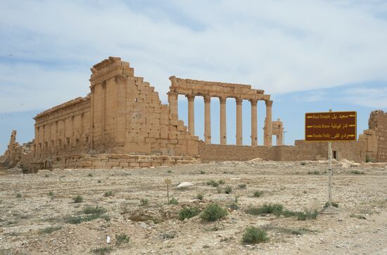 Palmyra's destroyed heritage