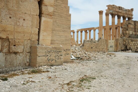 Palmyra's destroyed heritage