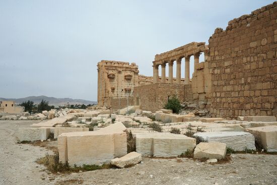 Palmyra's destroyed heritage