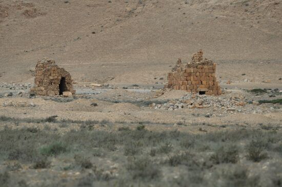 Palmyra's destroyed heritage
