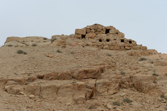 Palmyra's destroyed heritage