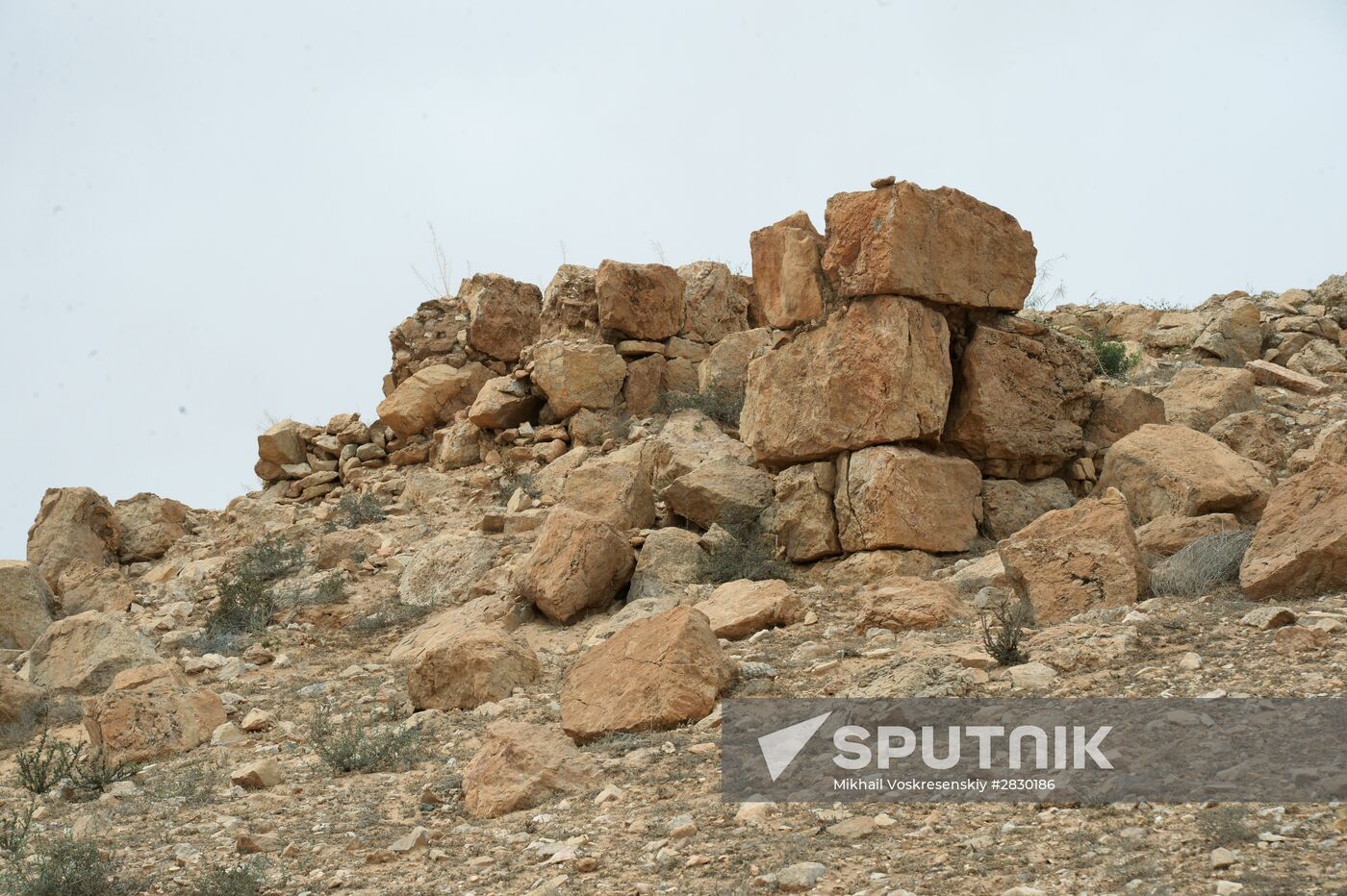 Palmyra's destroyed heritage