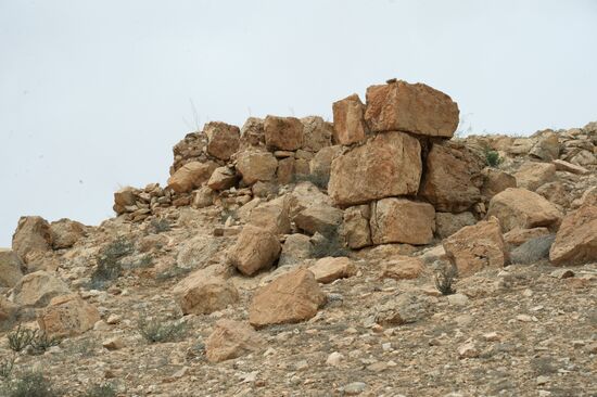 Palmyra's destroyed heritage