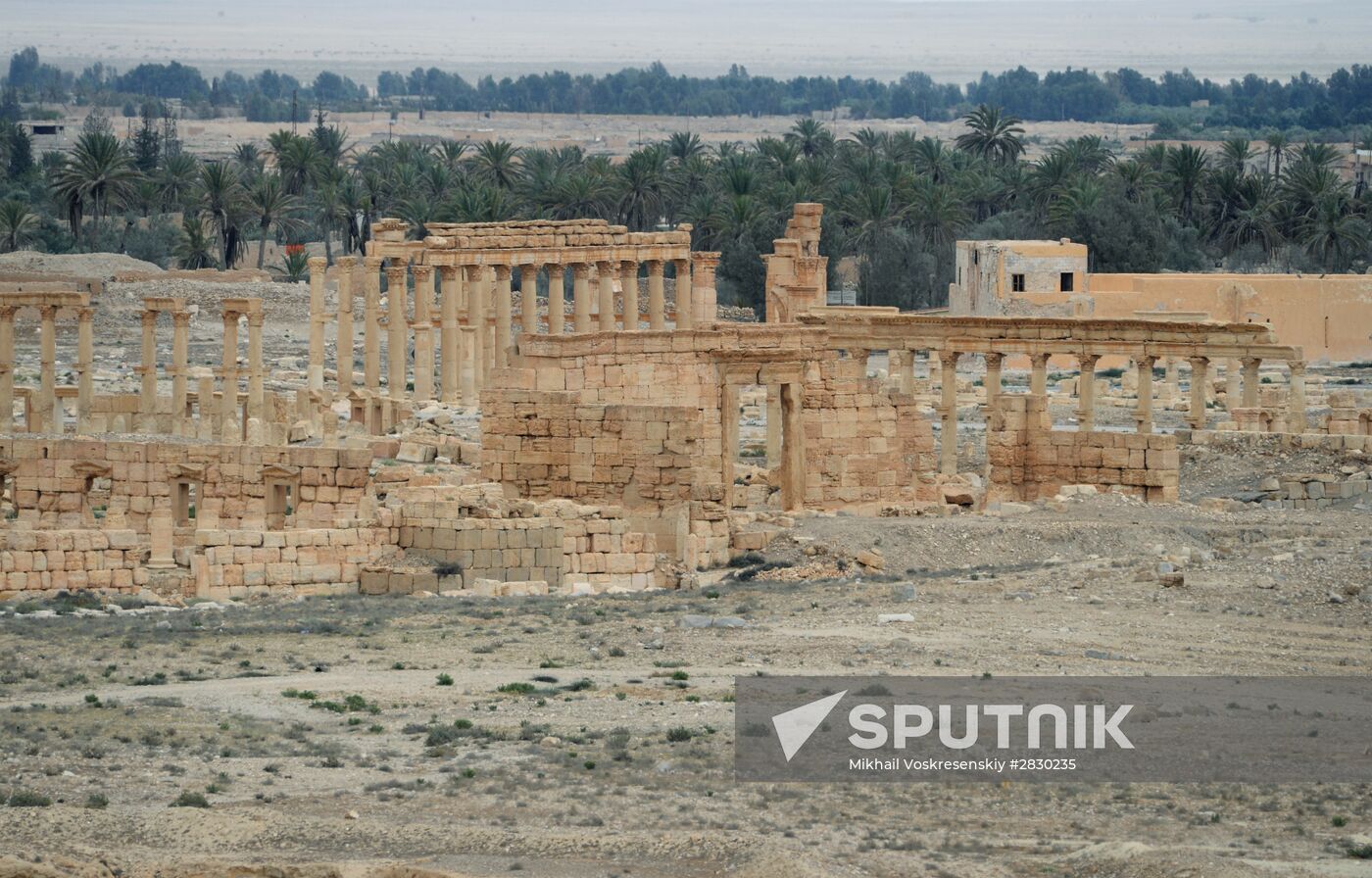 Palmyra's destroyed heritage