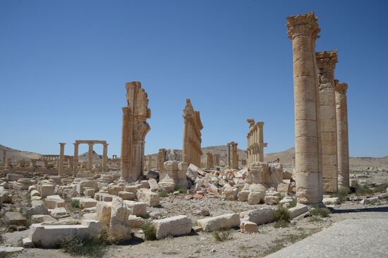 Palmyra's destroyed heritage