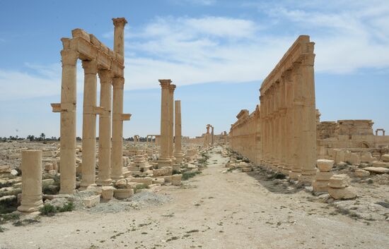 Palmyra's destroyed heritage