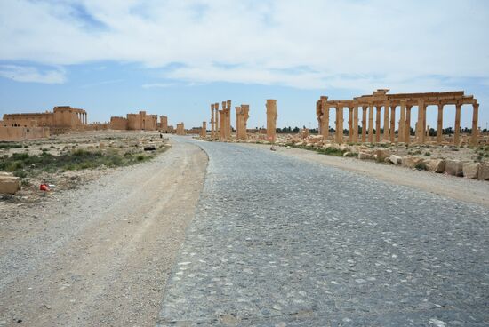 Palmyra's destroyed heritage