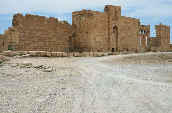 Palmyra's destroyed heritage