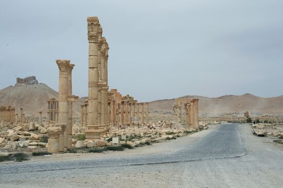 Palmyra's destroyed heritage