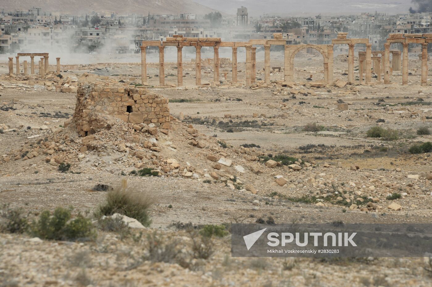 Palmyra's destroyed heritage