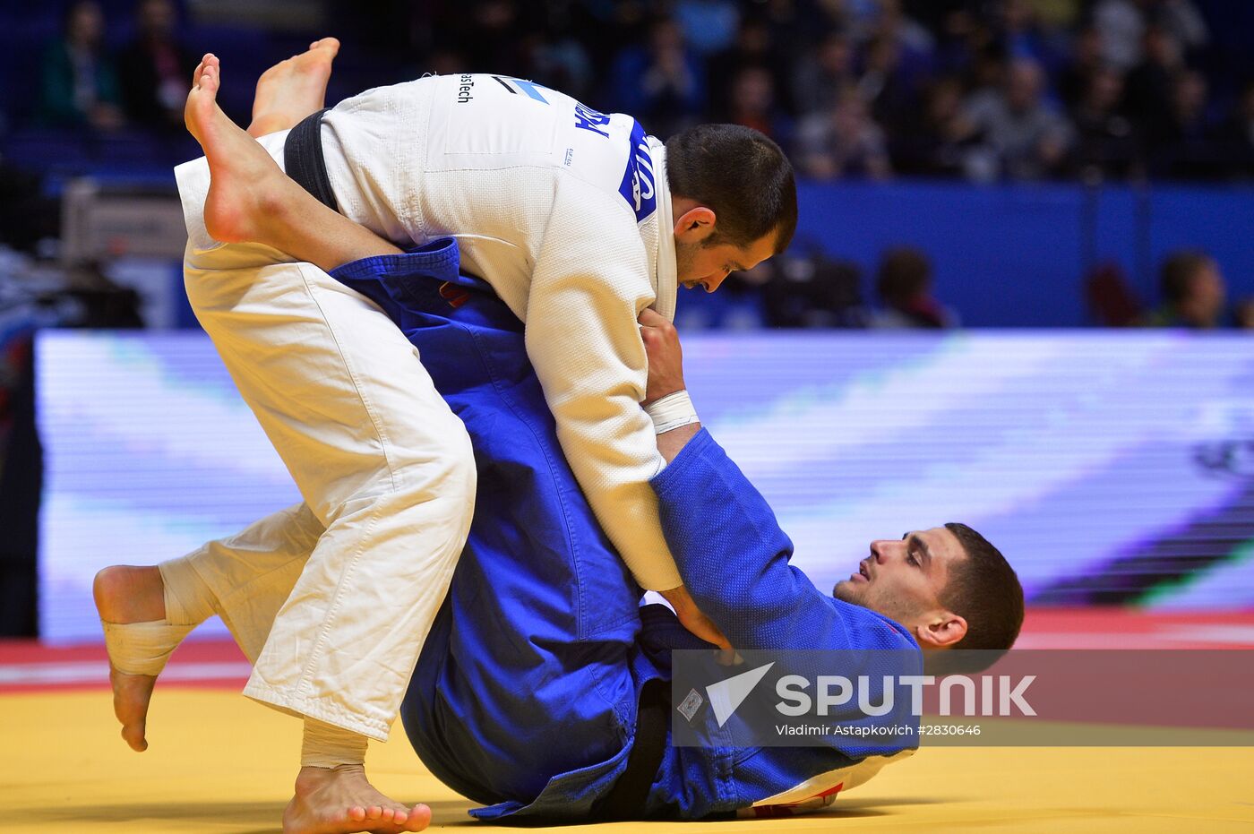 European Judo Championships. Day Two