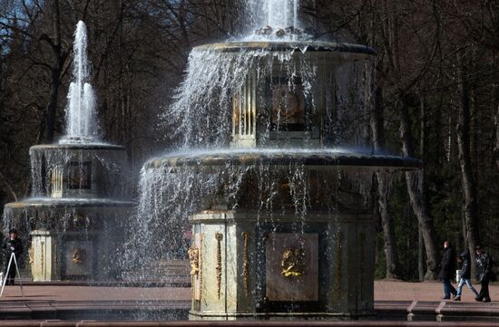 Fountains start operating in Peterhof