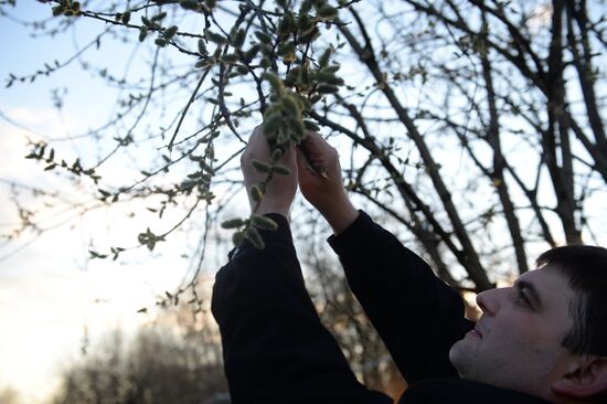 People collect willow branches for Palm Sunday on Lake Shartash in Yekaterinburg