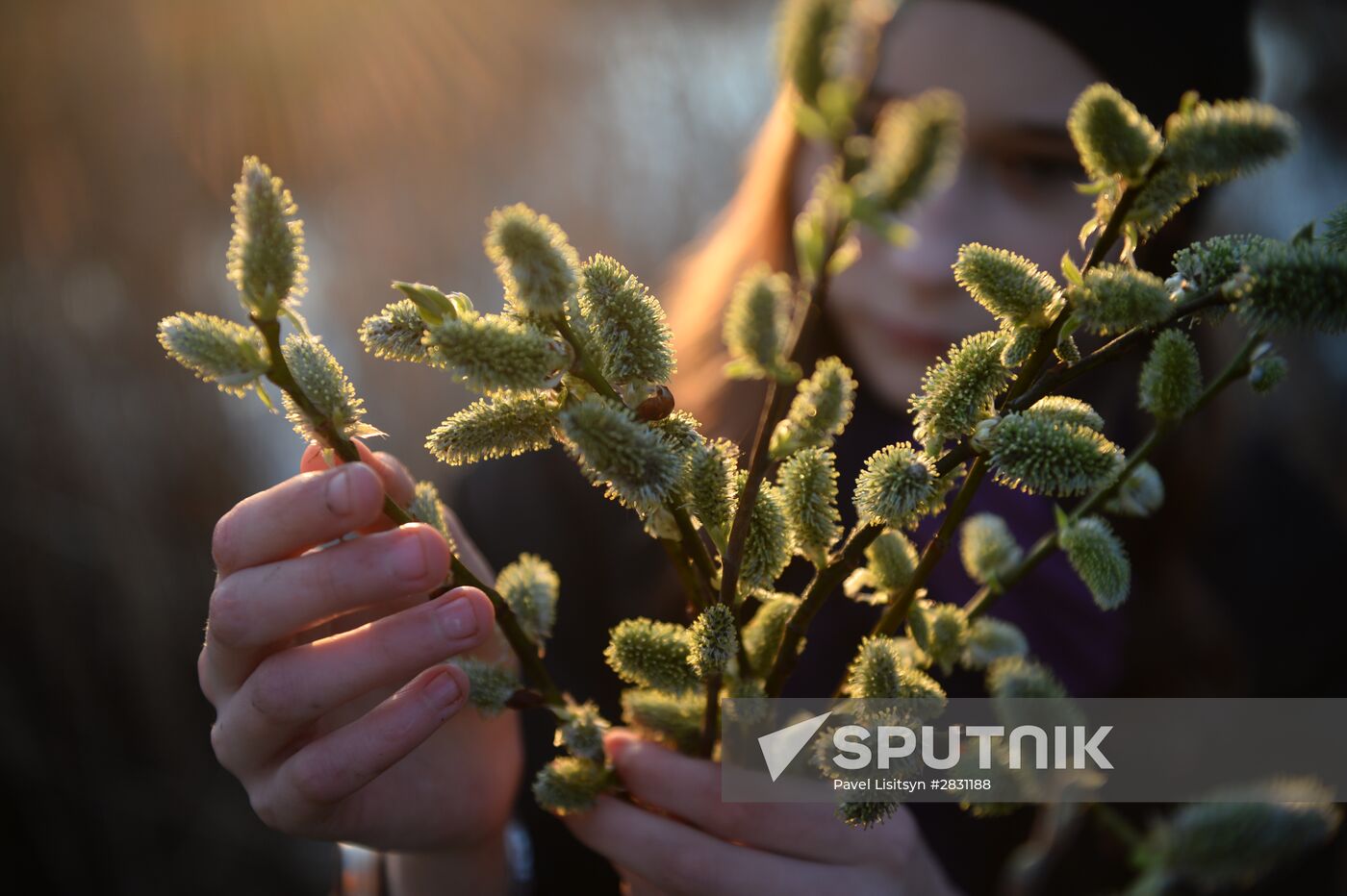 People collect willow branches for Palm Sunday on Lake Shartash in Yekaterinburg