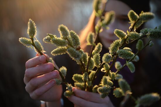 People collect willow branches for Palm Sunday on Lake Shartash in Yekaterinburg