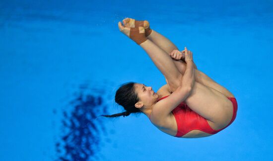 FINA Diving World Series 2016. Day Three