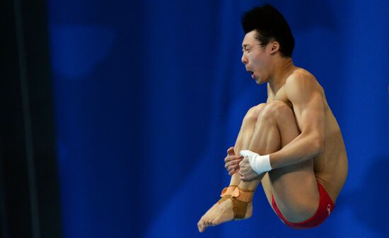 FINA Diving World Series 2016. Day Three