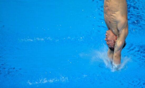 FINA Diving World Series 2016. Day Three