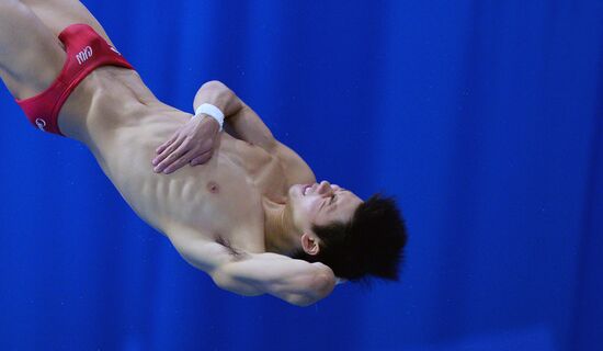 FINA Diving World Series 2016. Day Three