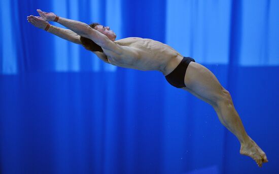 FINA Diving World Series 2016. Day Three