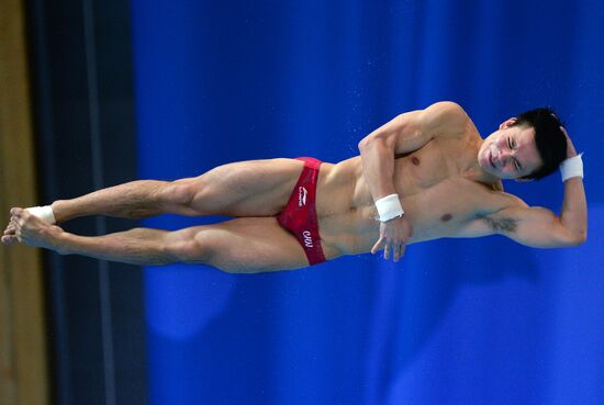 FINA Diving World Series 2016. Day Three