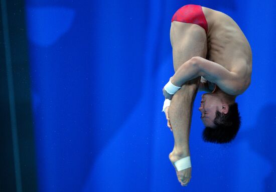 FINA Diving World Series 2016. Day Three