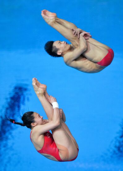 FINA Diving World Series 2016. Day Three