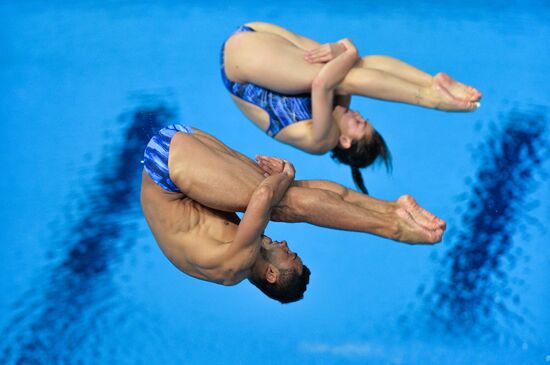 FINA Diving World Series 2016. Day Three