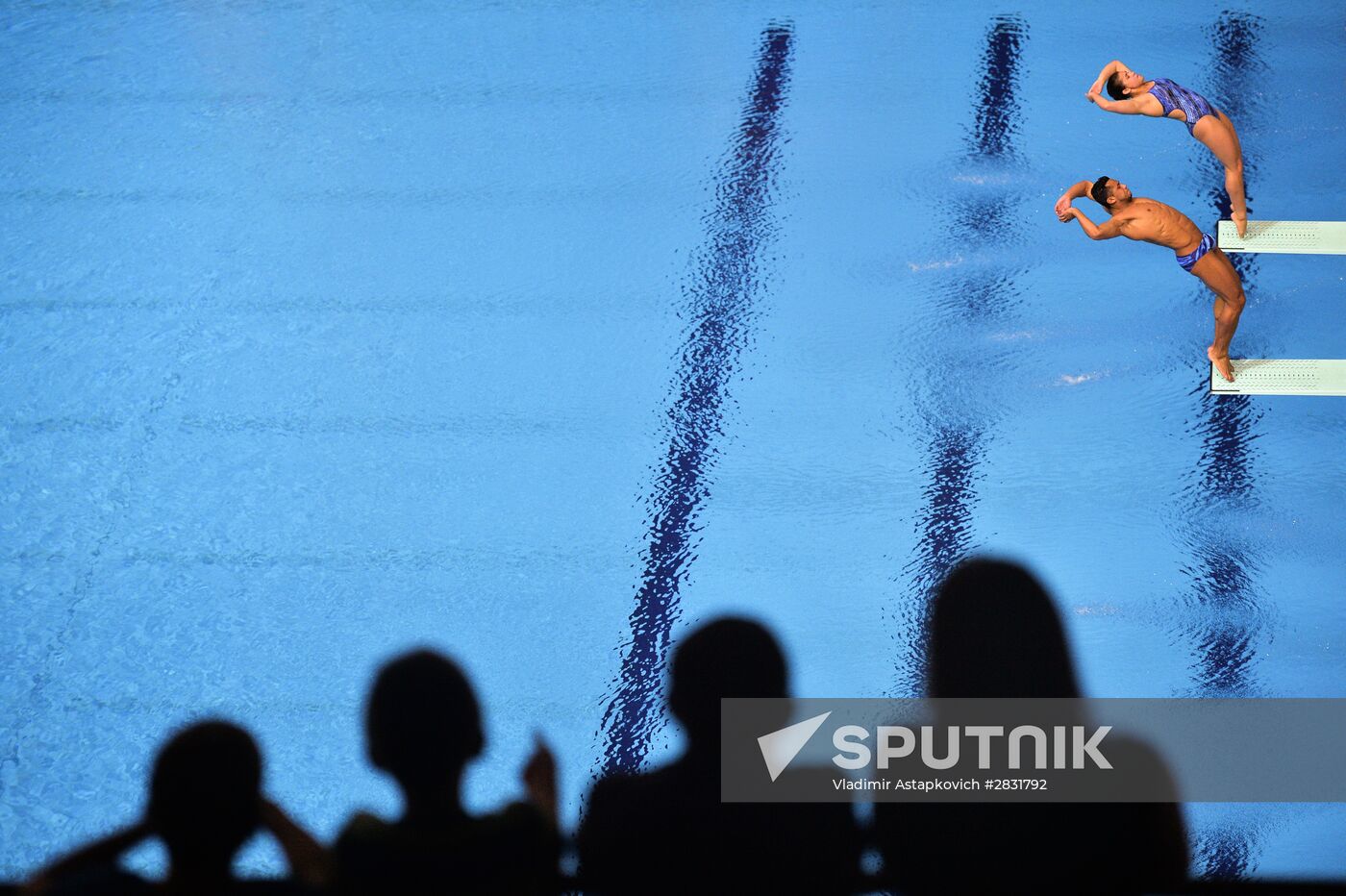 FINA Diving World Series 2016. Day Three