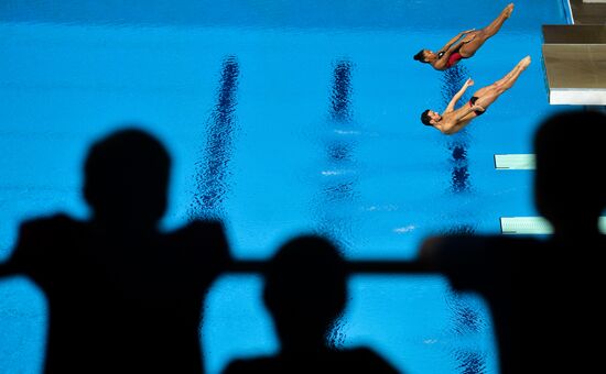 FINA Diving World Series 2016. Day Three